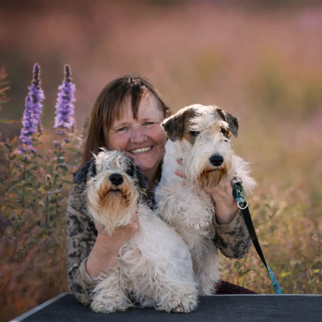 Szczenięta airedale sealyham terrier w hodowli Jasaba FCI
